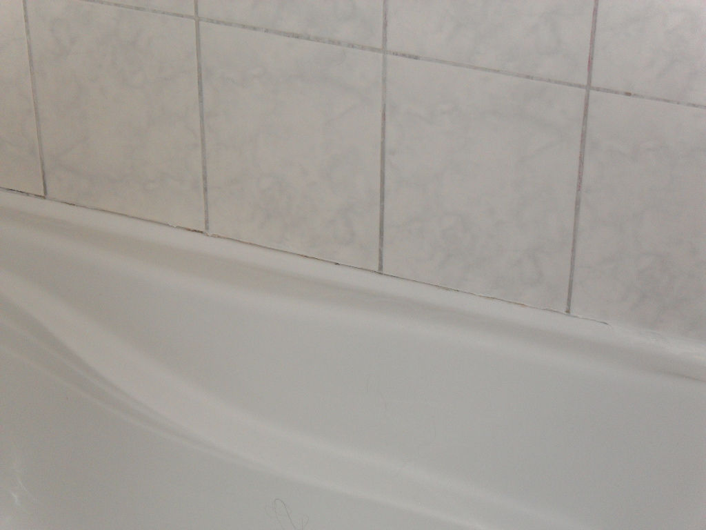 Does Bleach Kill Mold Canada's Restoration Services Toronto